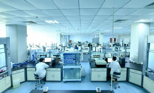 威海南海新區(qū)2家企業(yè)入選山東省瞪羚企業(yè)，技術(shù)創(chuàng)新引領(lǐng)區(qū)域發(fā)展