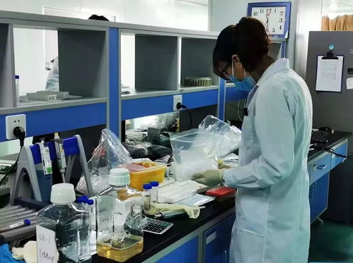 聚青力戰疫情 天津青年技術推廣行動紀實